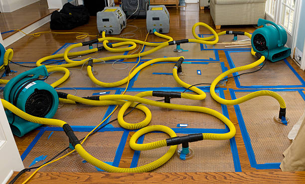 Professional Water Damage Repair technician working in Ringle, WI